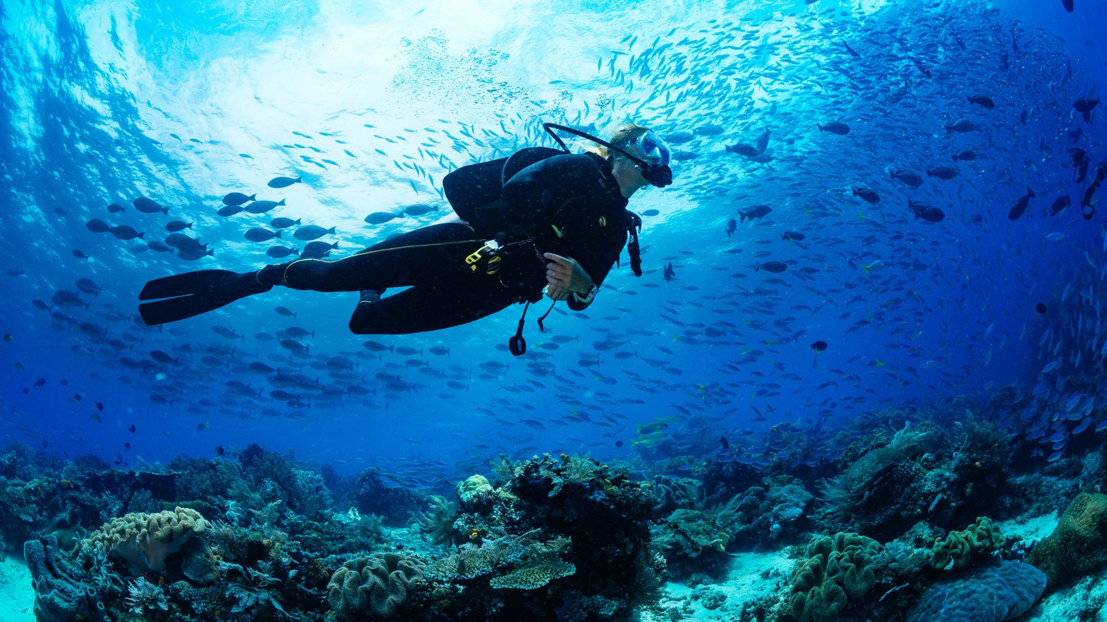 scuba-diving-adventure-lakshadweep
